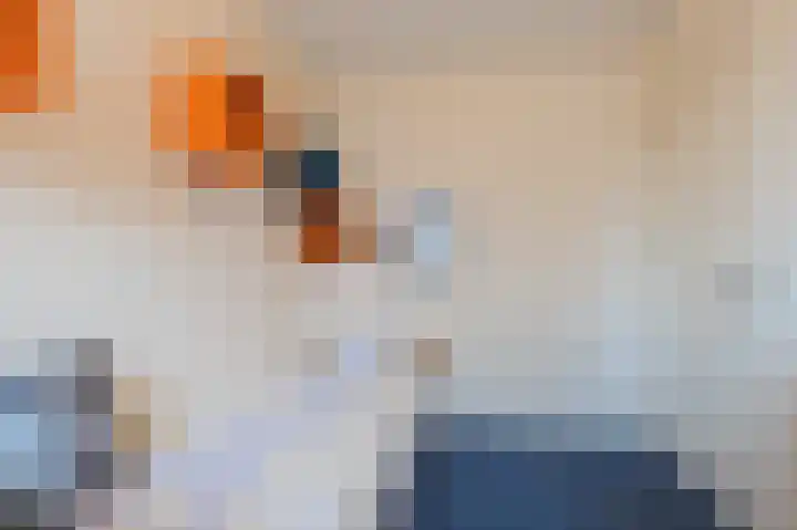 Reewal 9 Reeuwijk thumbnail 41