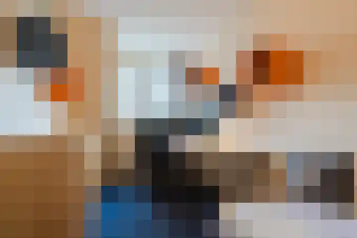 Reewal 9 Reeuwijk thumbnail 42