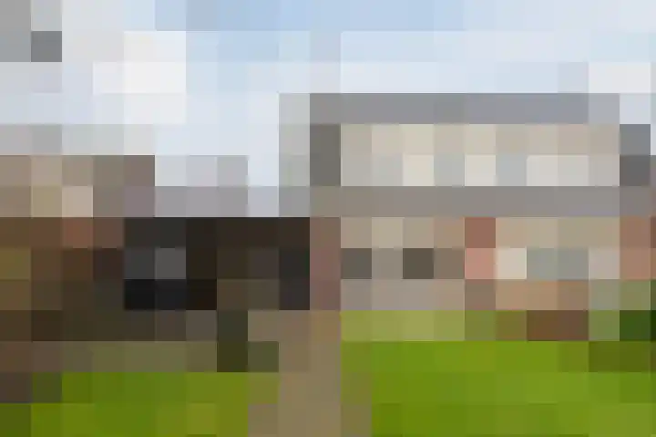 Reewal 9 Reeuwijk thumbnail 5