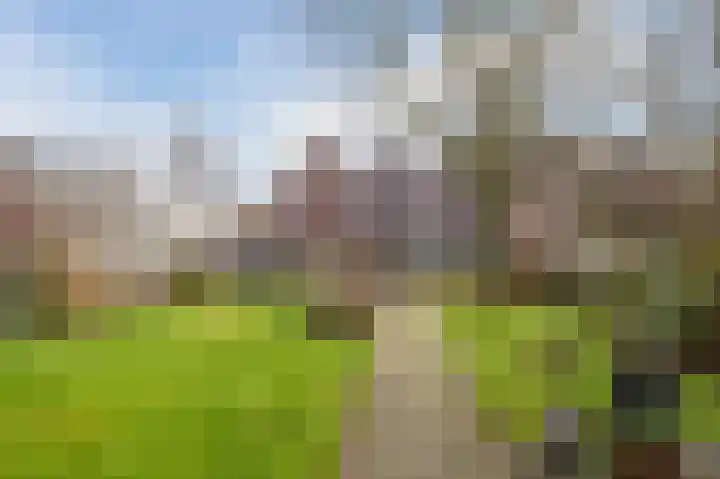 Reewal 9 Reeuwijk thumbnail 55