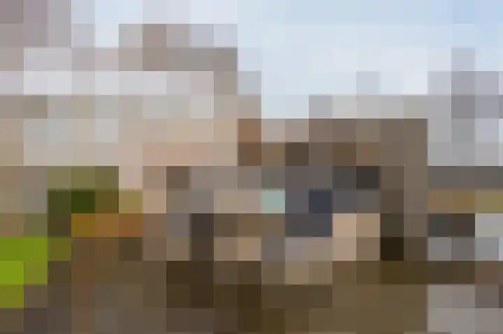 Reewal 9 Reeuwijk thumbnail 56