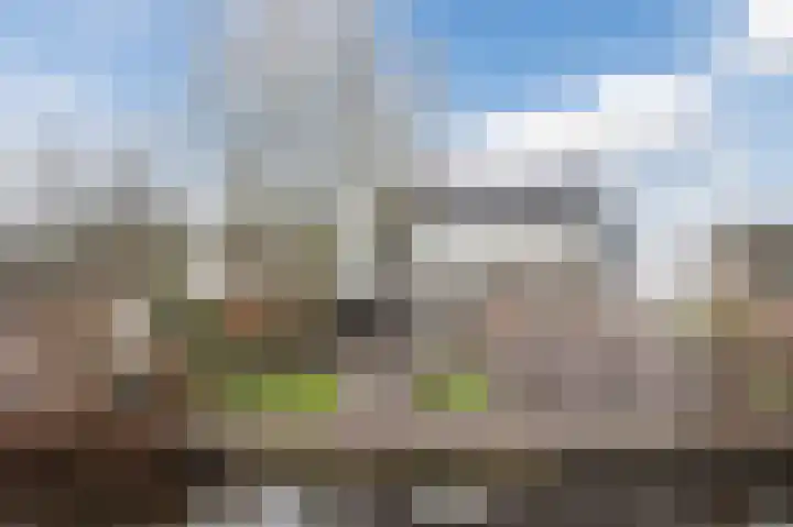 Reewal 9 Reeuwijk thumbnail 57