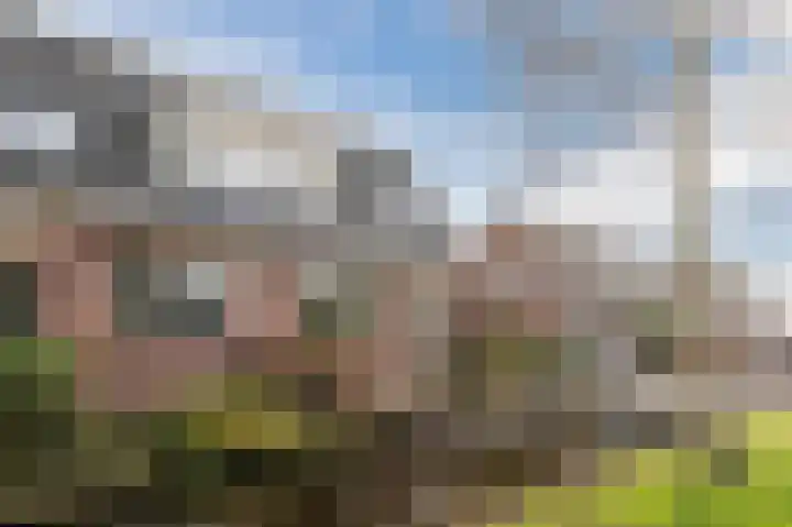 Reewal 9 Reeuwijk thumbnail 59
