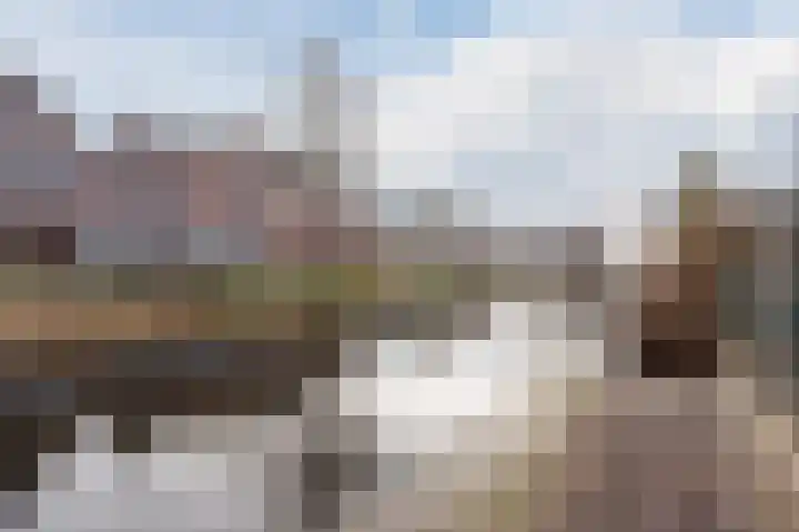 Reewal 9 Reeuwijk thumbnail 61