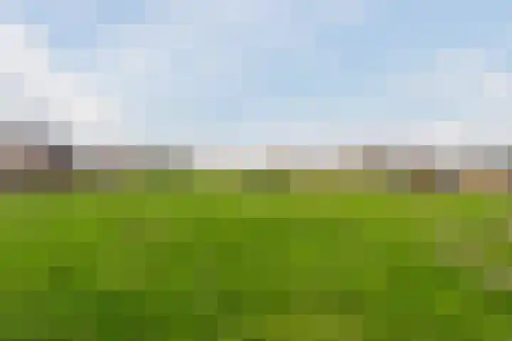 Reewal 9 Reeuwijk thumbnail 62