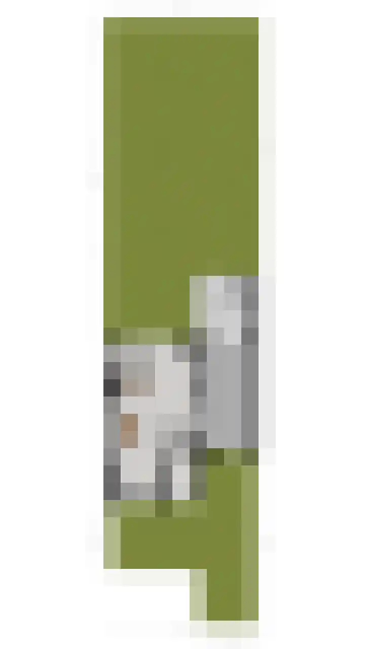 Reewal 9 Reeuwijk thumbnail 66