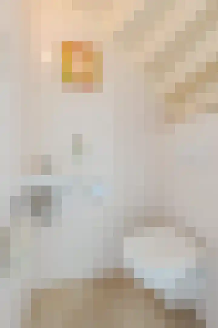 Reewal 9 Reeuwijk thumbnail 9
