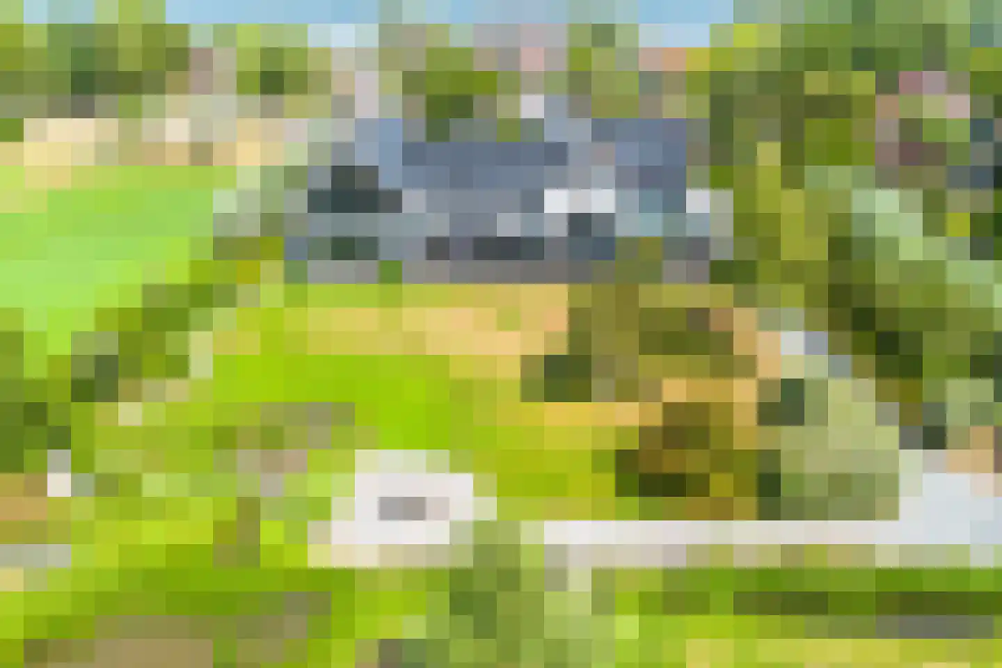 Reeweg 1 Nederhorst den Berg thumbnail 97