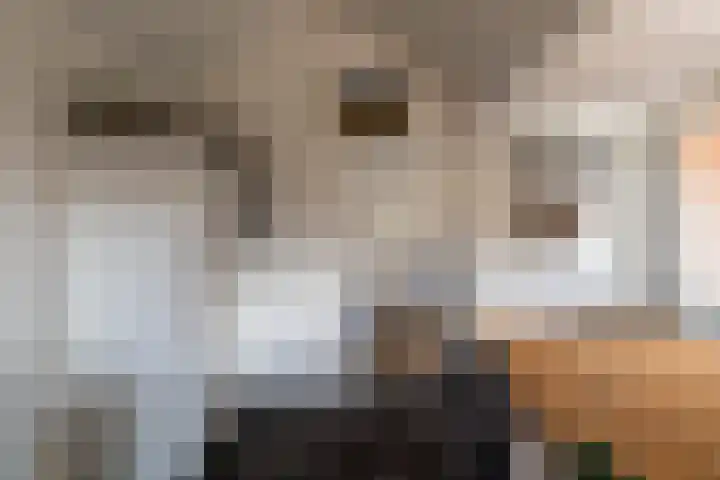 Reeweg 18 Werkendam thumbnail 13