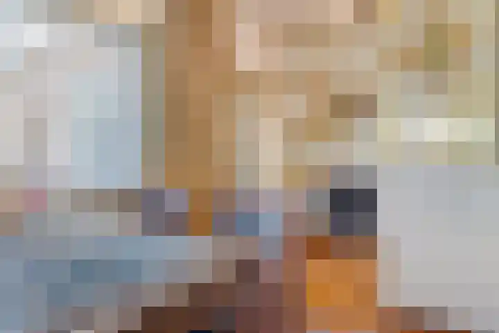 Reeweg 3 Hansweert thumbnail 15