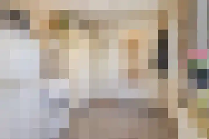Reeweg 3 Hansweert thumbnail 21