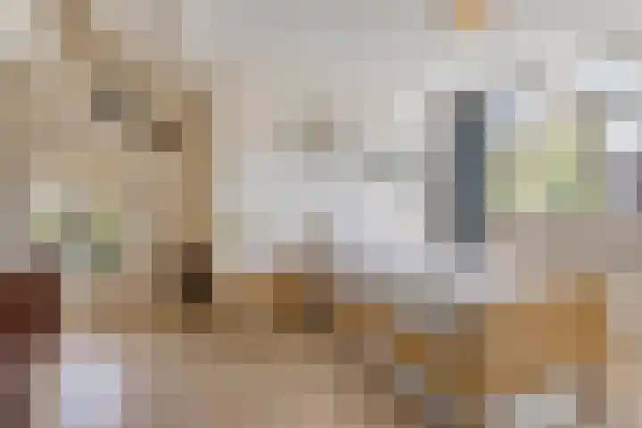 Reeweg 3 Hansweert thumbnail 31