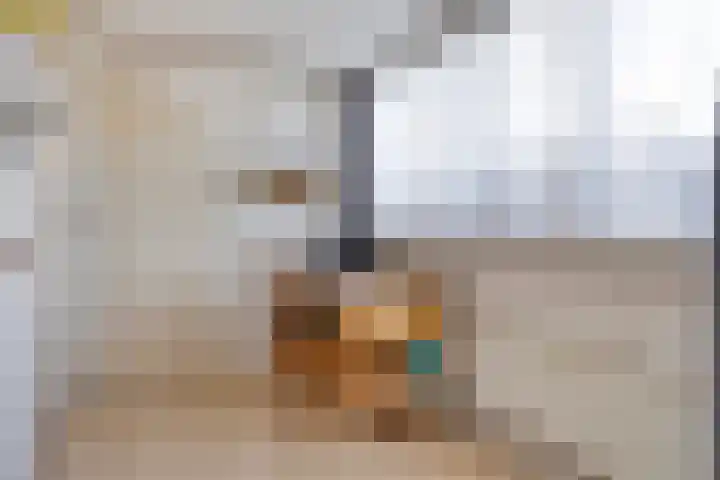 Reeweg 3 Hansweert thumbnail 33