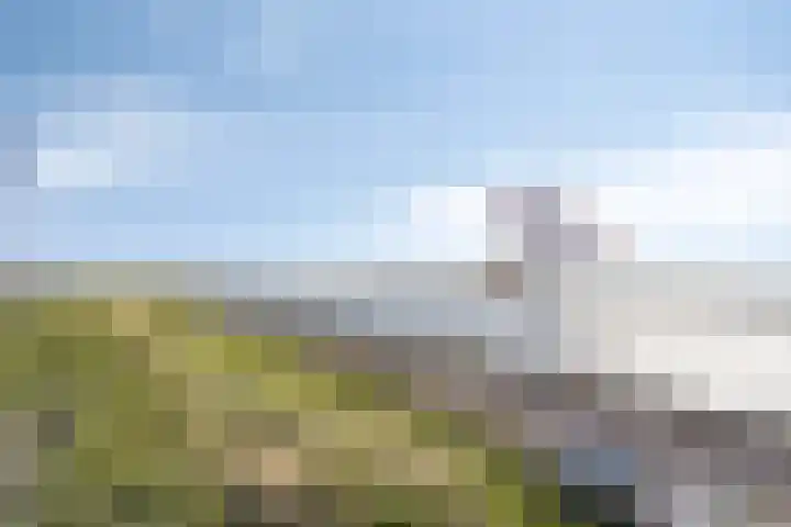 Reeweg 3 Hansweert thumbnail 36