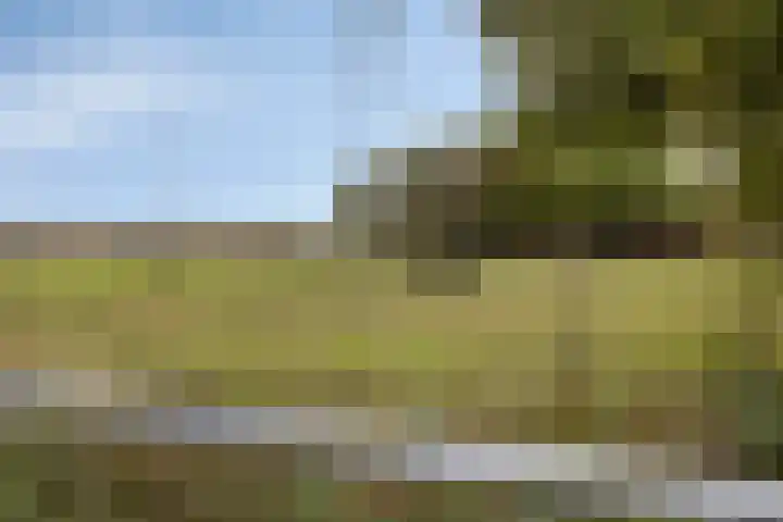 Reeweg 3 Hansweert thumbnail 37