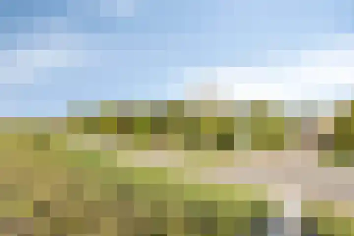 Reeweg 3 Hansweert thumbnail 38