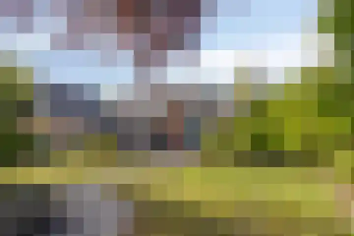 Reeweg 3 Hansweert thumbnail 4
