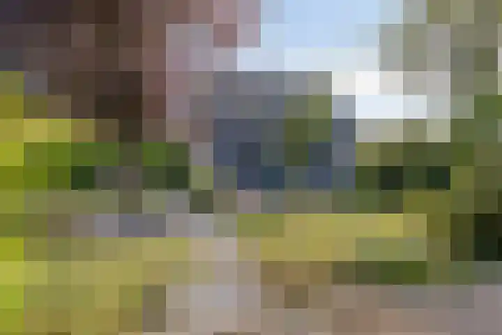 Reeweg 3 Hansweert thumbnail 5