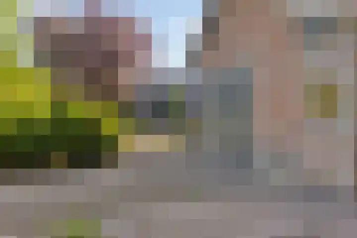 Reeweg 3 Hansweert thumbnail 6