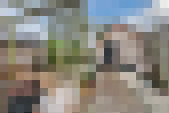 Reeweg 30 Hendrik-Ido-Ambacht thumbnail 37