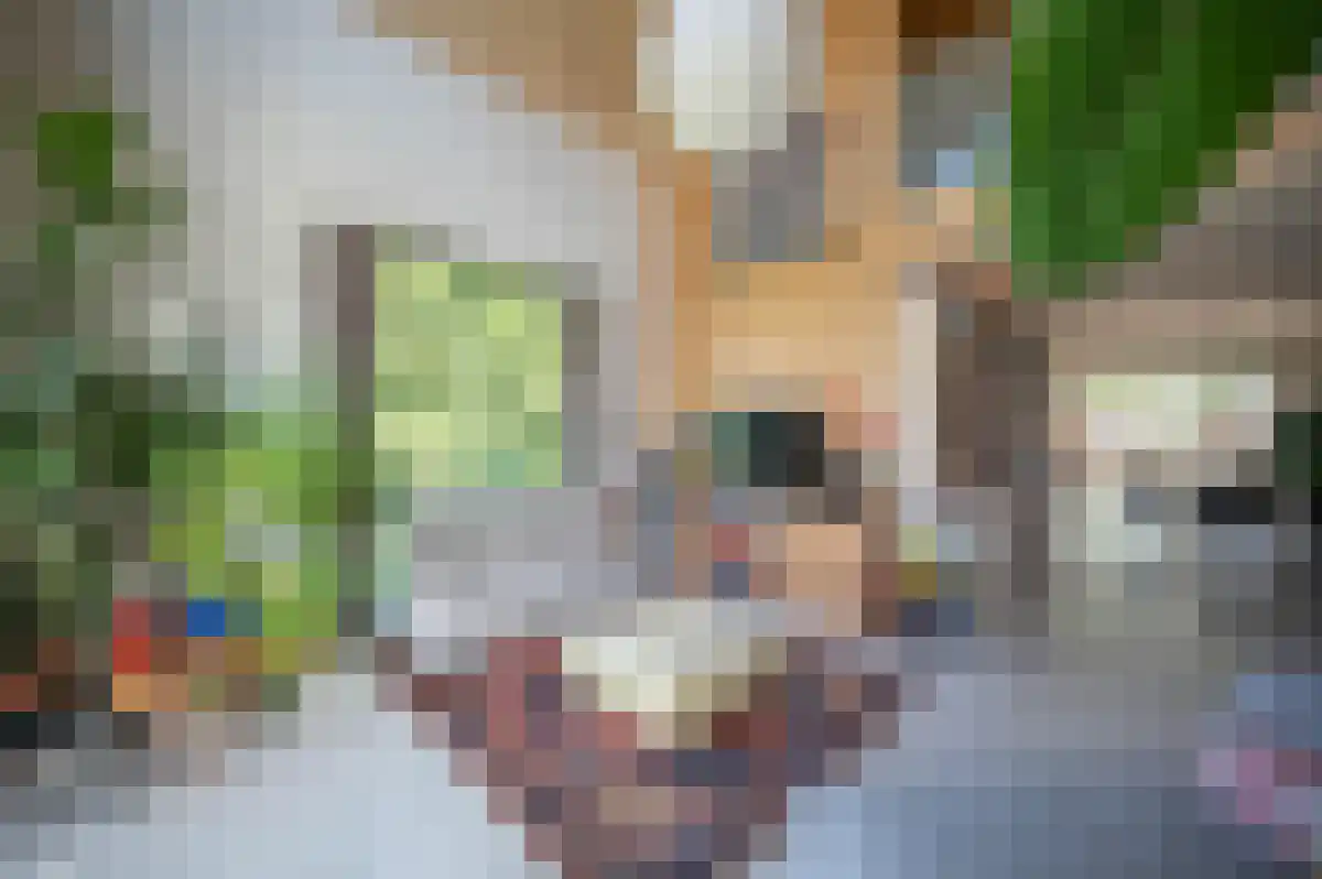 Reeweg 4 Nederhorst den Berg thumbnail 4