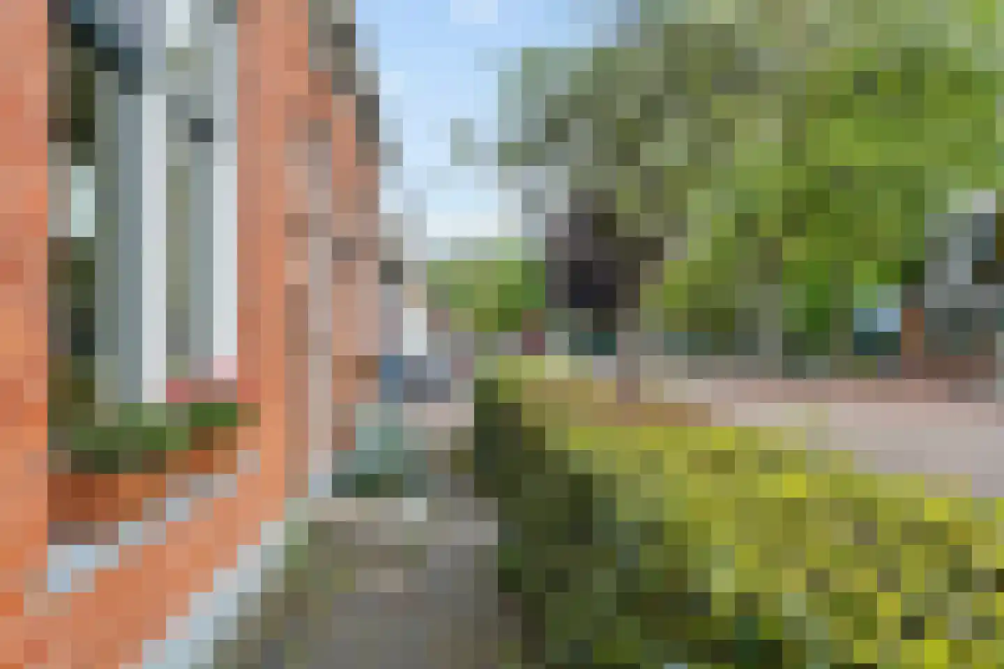 Reeweg 6 Schiermonnikoog thumbnail 31