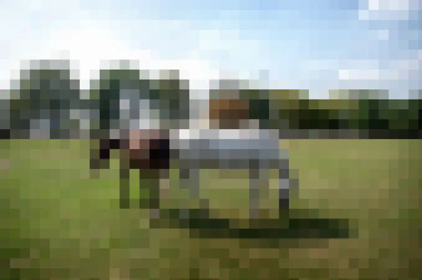 Reeweg 74 Landgraaf thumbnail 42
