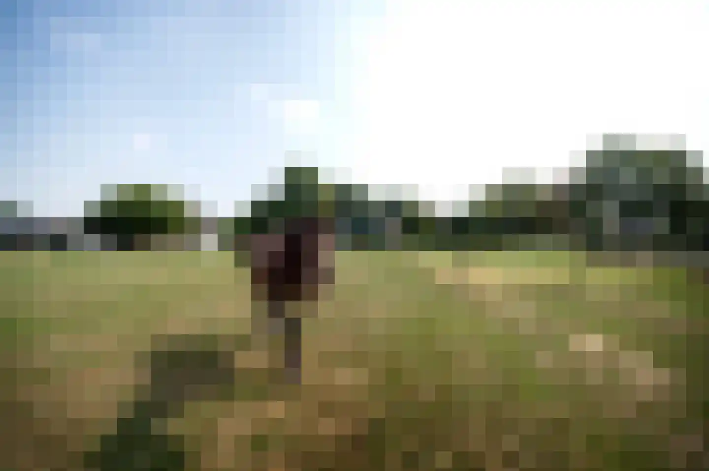 Reeweg 74 Landgraaf thumbnail 44