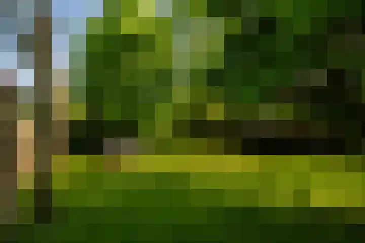 Reeweg 87 Landgraaf thumbnail 27
