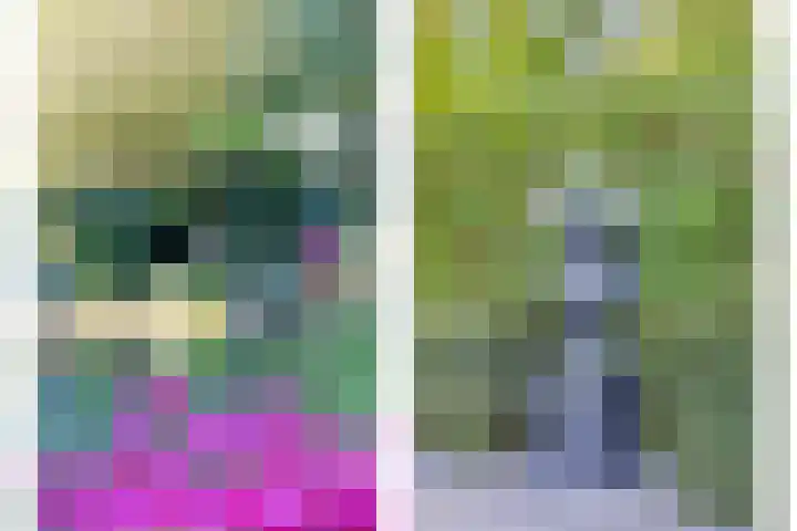 Reeweg 95 Hendrik-Ido-Ambacht thumbnail 50