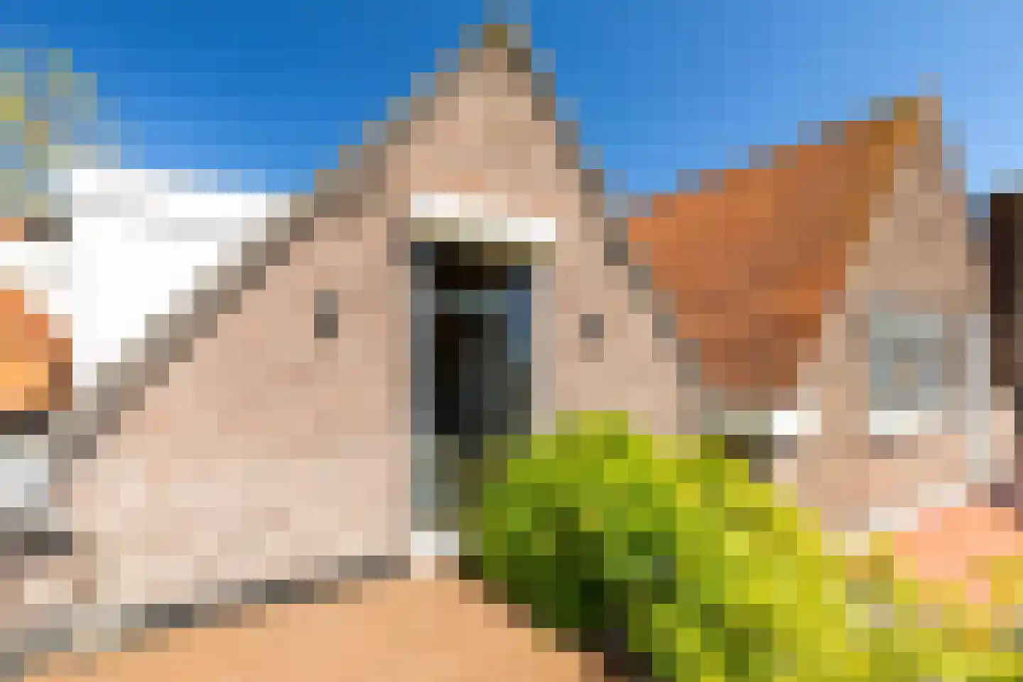 Reeweg Oost 101 Dordrecht thumbnail 33