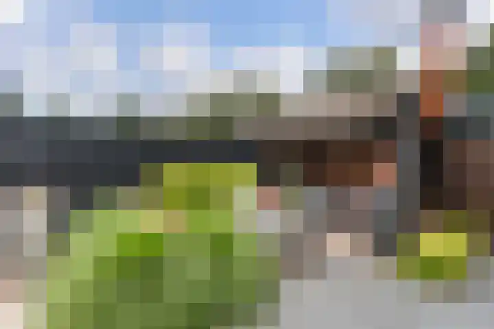 Reeweg Oost 222 Dordrecht thumbnail 30