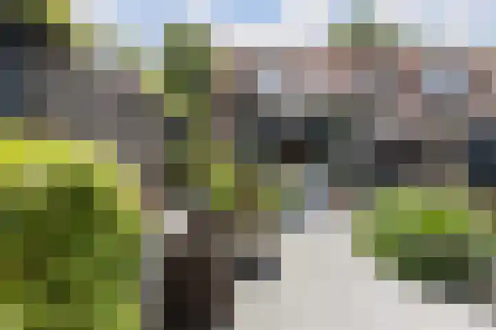 Reeweg Oost 222 Dordrecht thumbnail 33