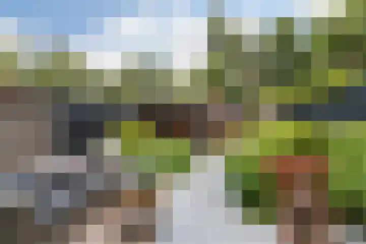 Reeweg Oost 222 Dordrecht thumbnail 5