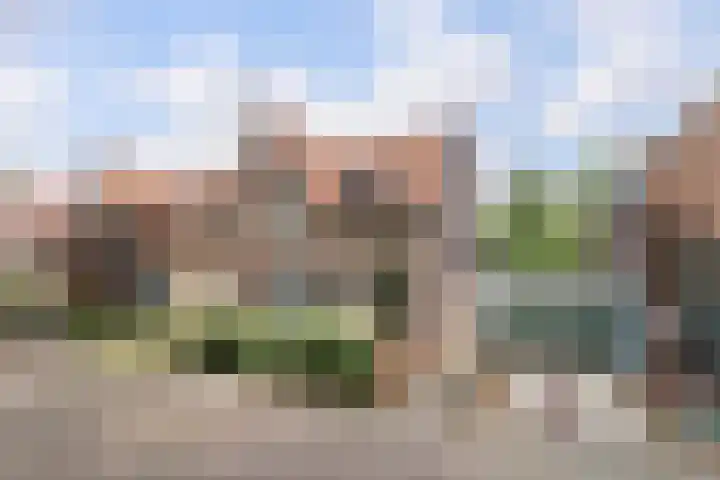Reeweg Oost 222 Dordrecht thumbnail 6