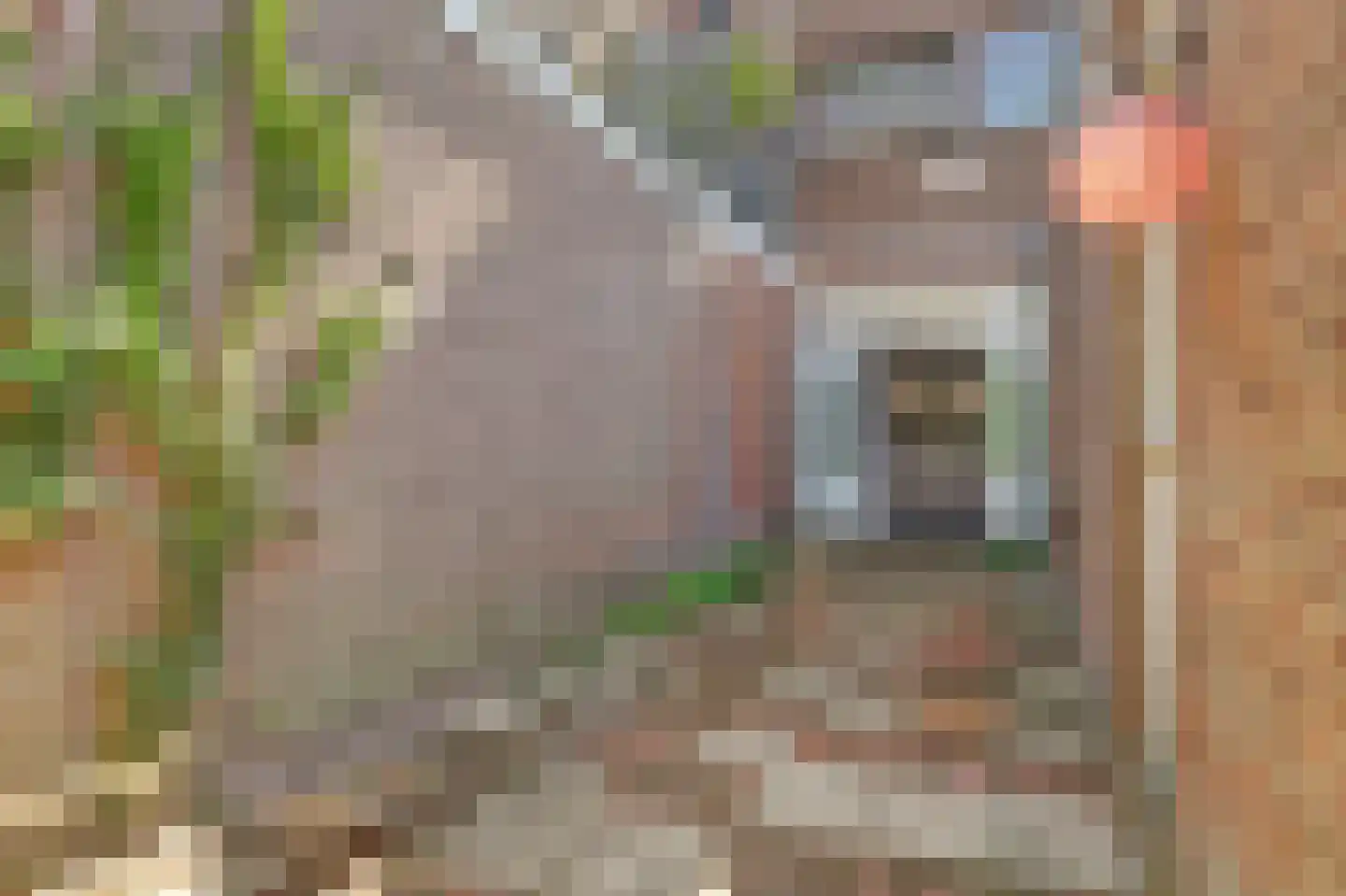 Reeweg Oost 92 Dordrecht thumbnail 51