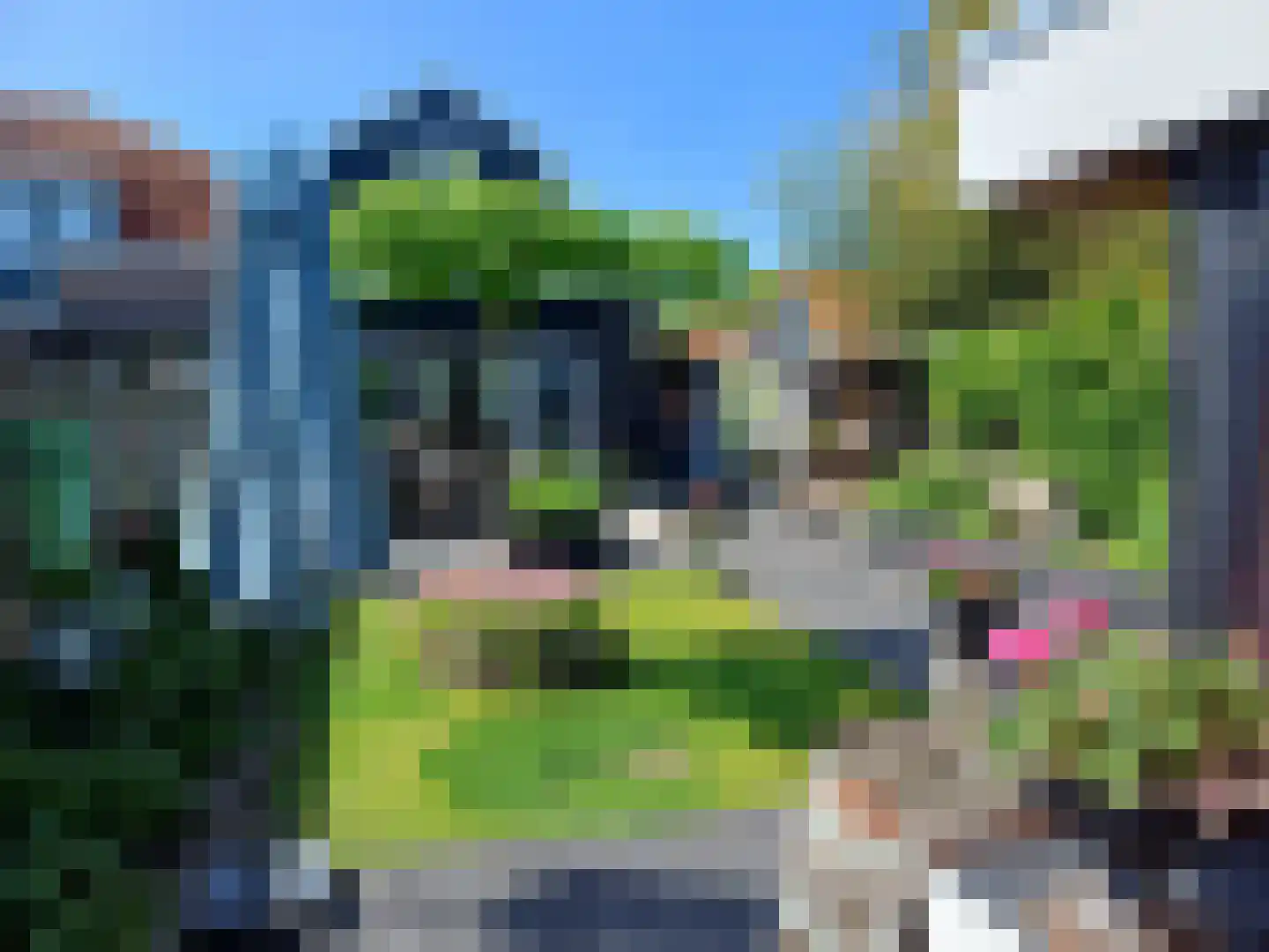 Reewegpad 4 Dordrecht thumbnail 16