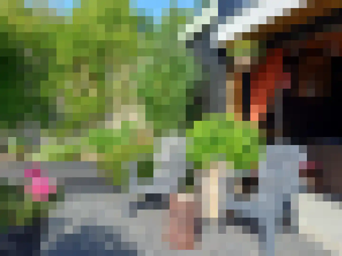 Reewegpad 4 Dordrecht thumbnail 17