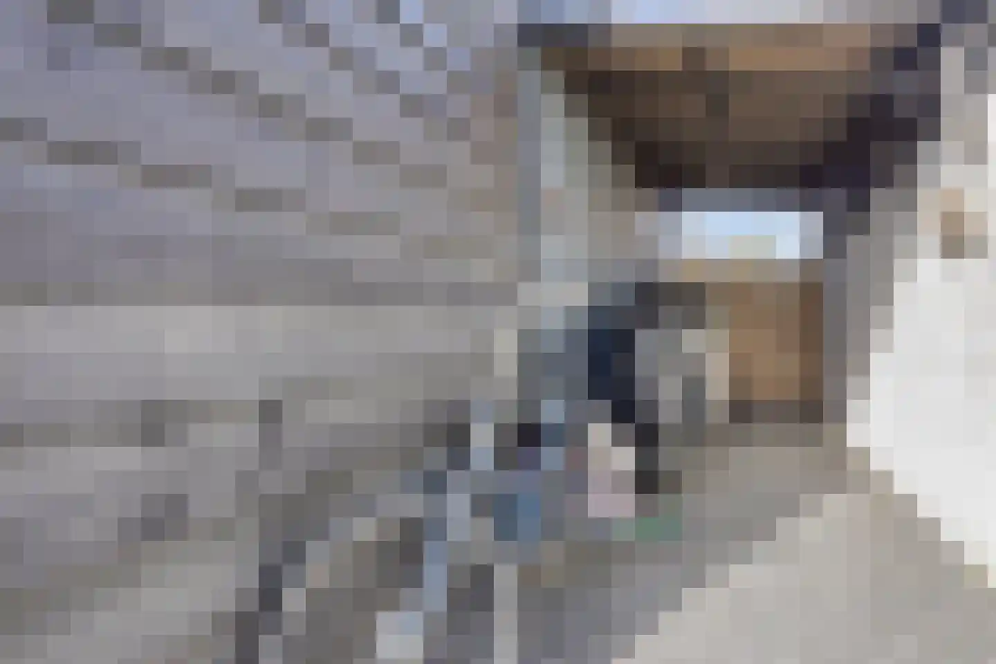 Reewegpad 4 Dordrecht thumbnail 20