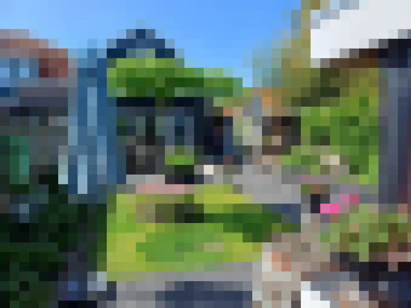 Reewegpad 4 Dordrecht thumbnail 23