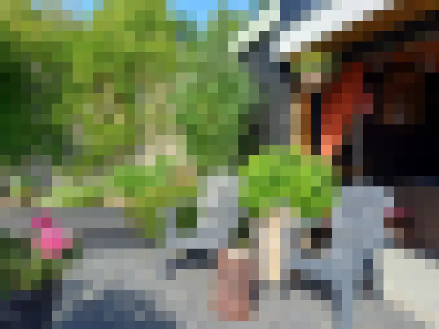 Reewegpad 4 Dordrecht thumbnail 24