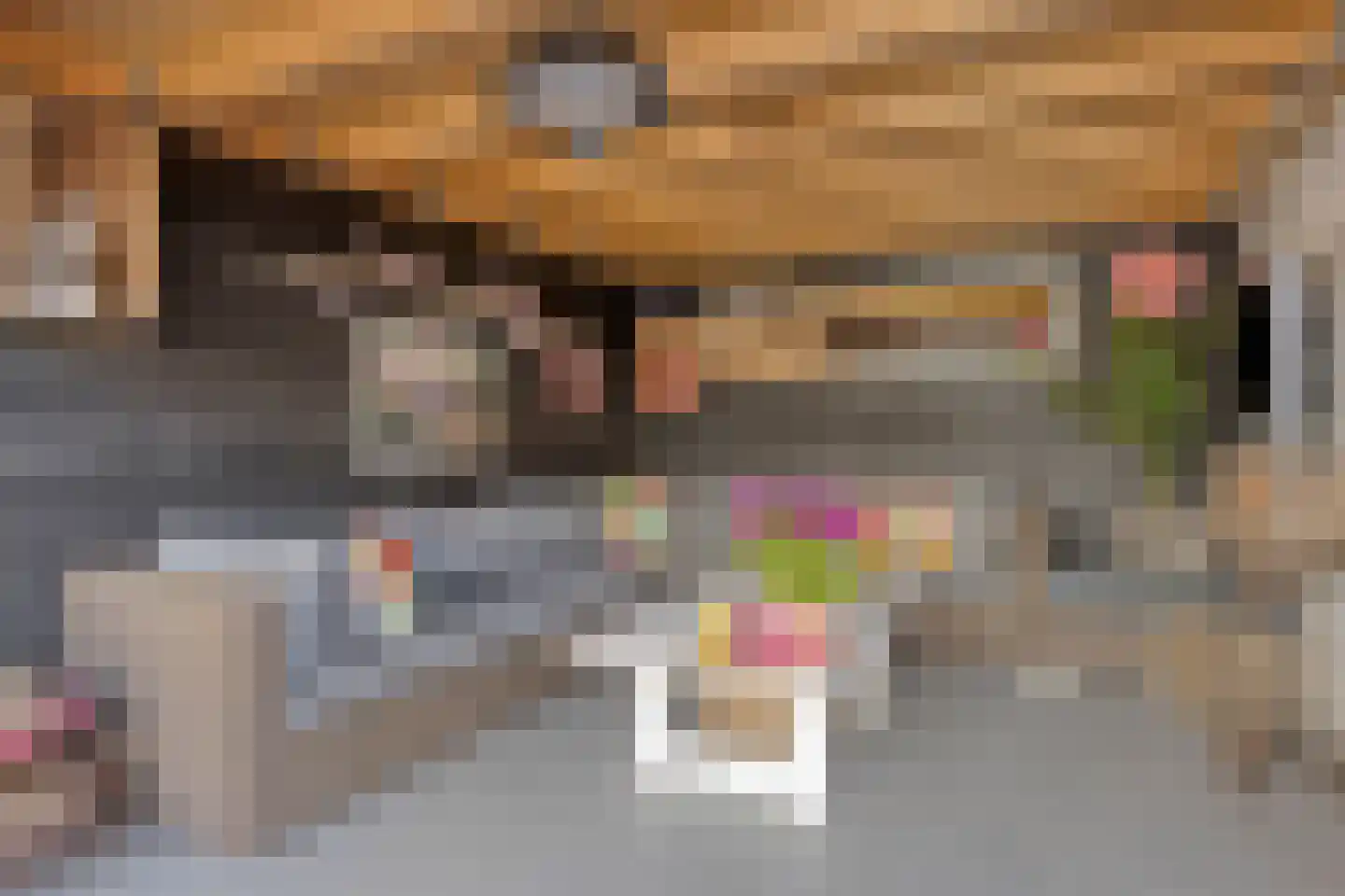 Reewegpad 4 Dordrecht thumbnail 25