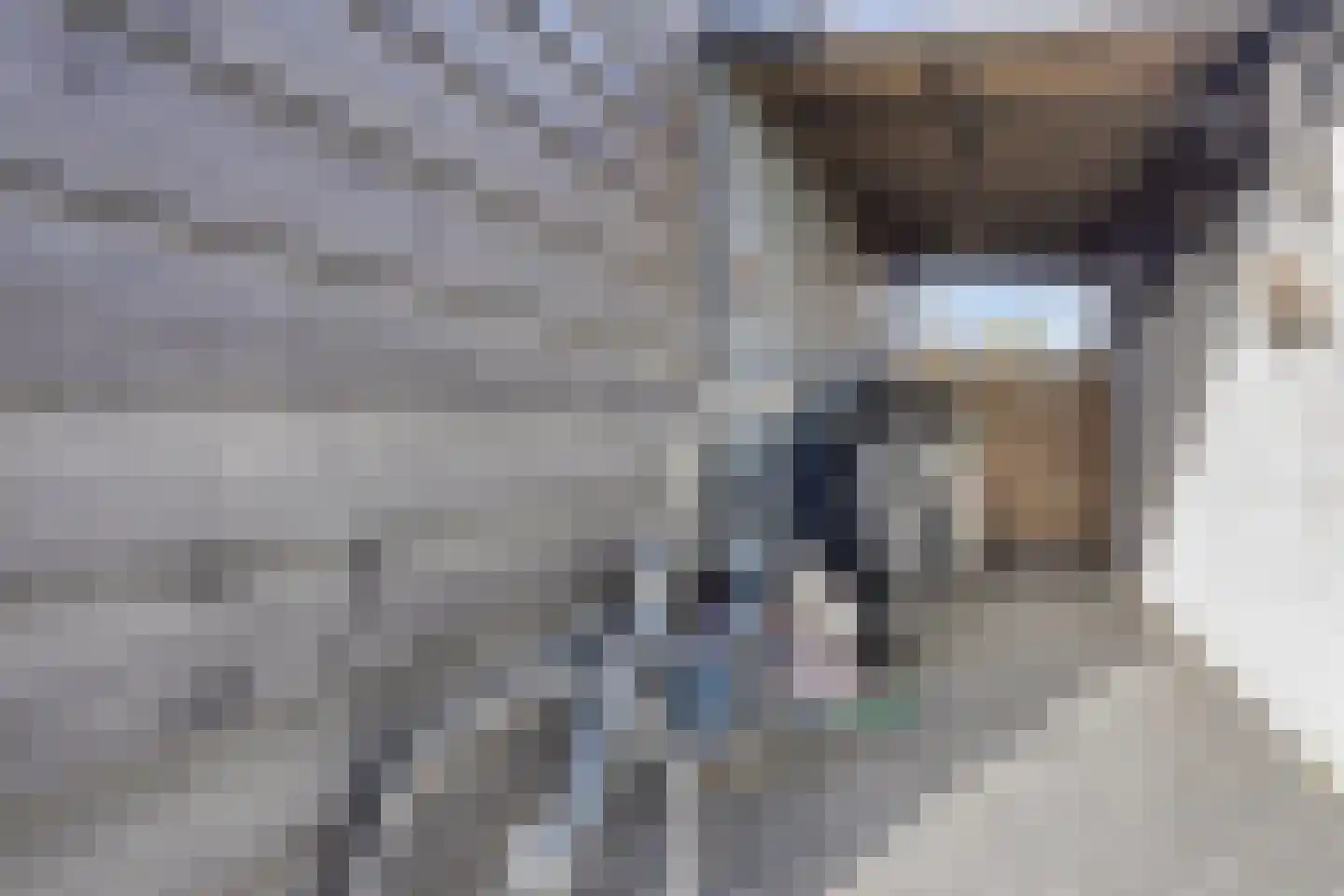 Reewegpad 4 Dordrecht thumbnail 27