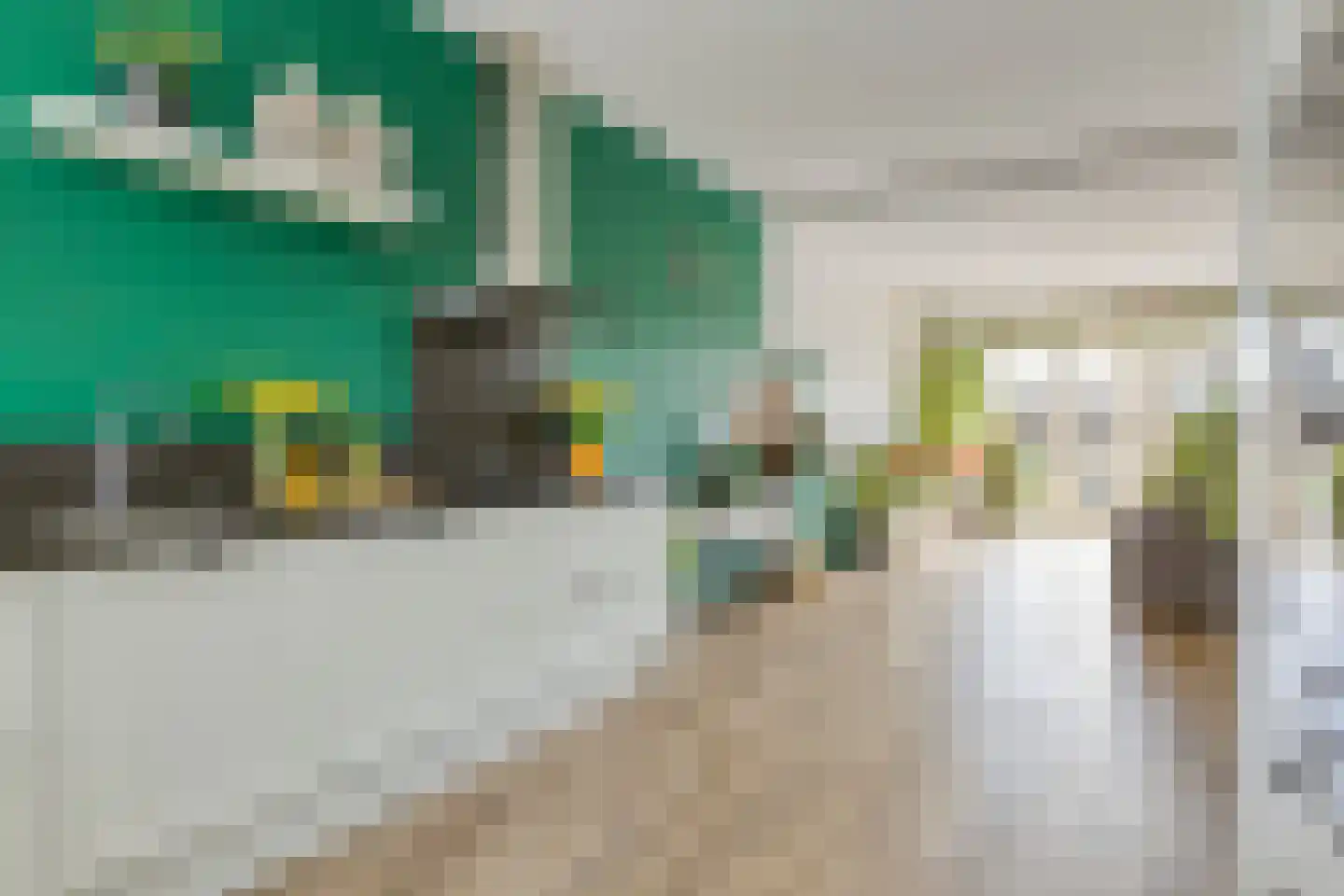 Reewegpad 4 Dordrecht thumbnail 9