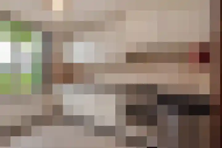 Reeweide 19 Zoetermeer thumbnail 13