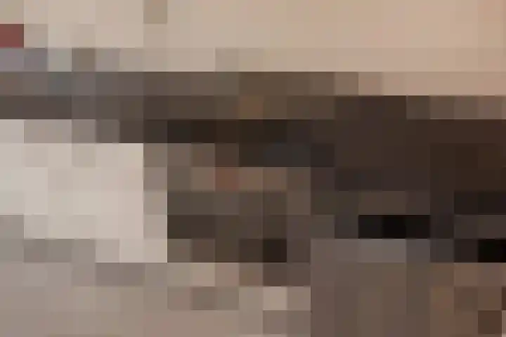 Reeweide 19 Zoetermeer thumbnail 14