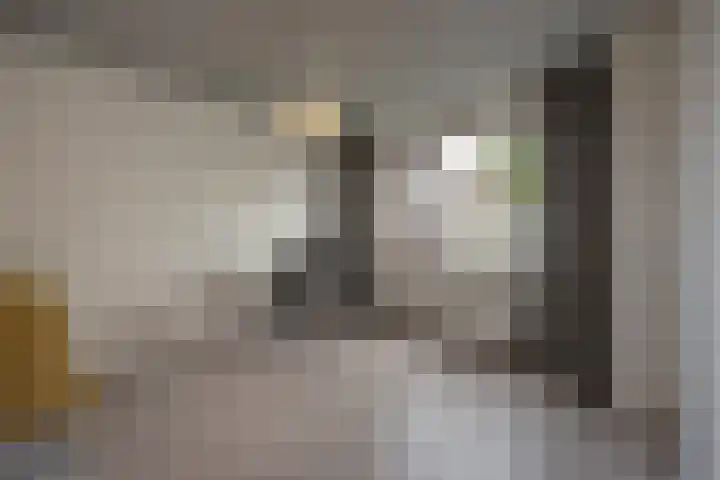 Reeweide 19 Zoetermeer thumbnail 21