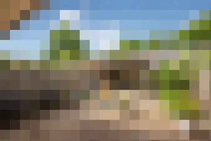Reeweide 19 Zoetermeer thumbnail 7