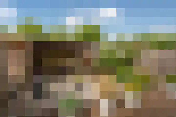 Reeweide 19 Zoetermeer thumbnail 8