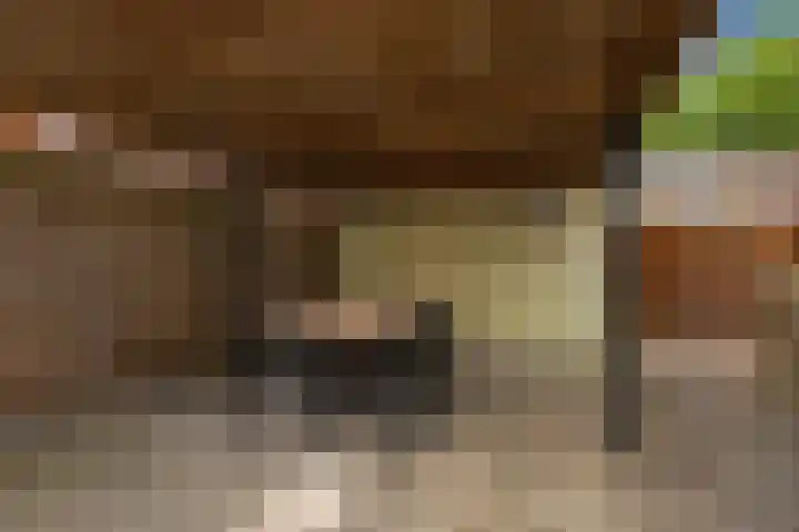 Reeweide 19 Zoetermeer thumbnail 9